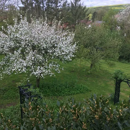 Le Clos Dessyag Montcavrel